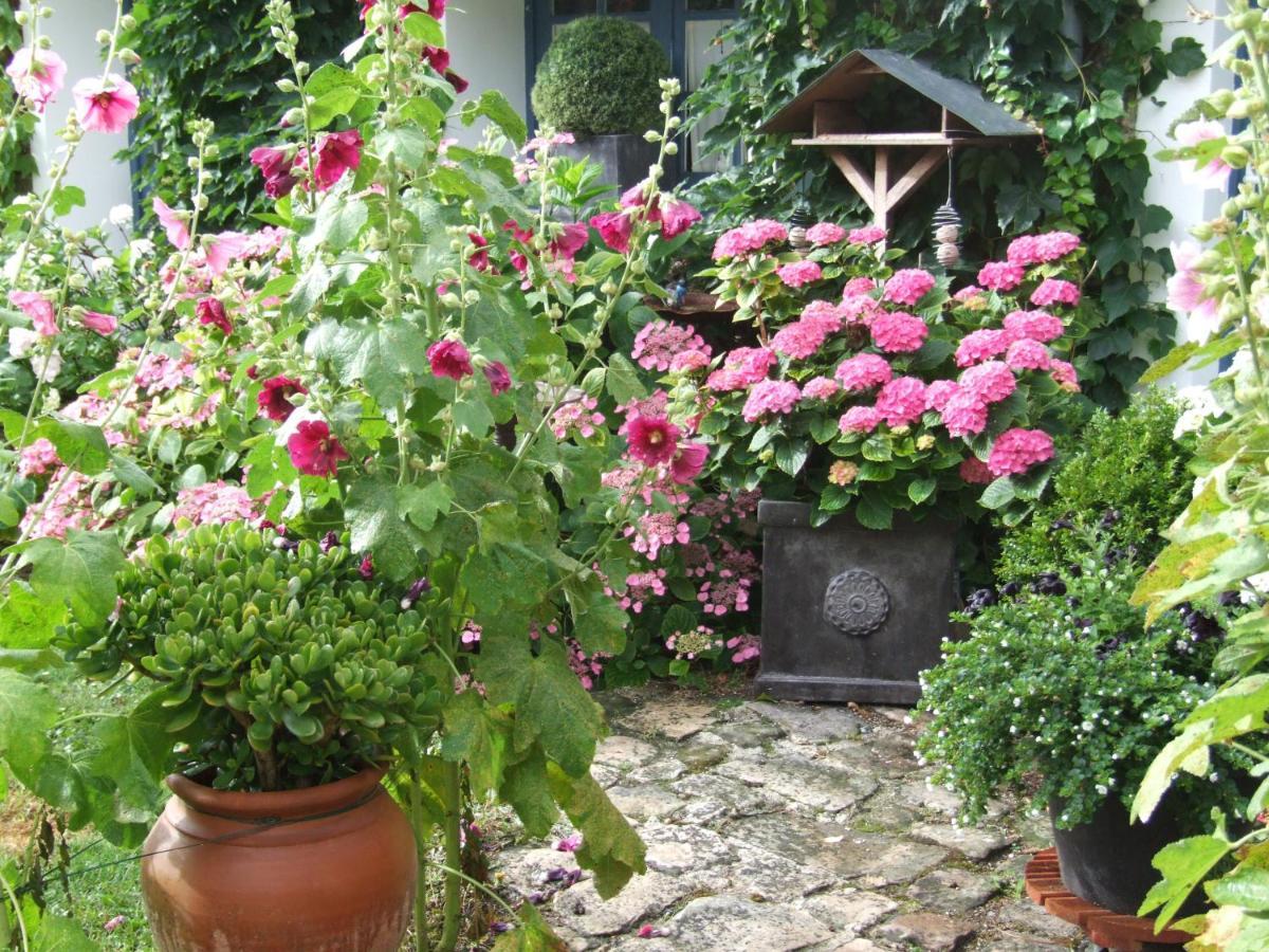 Bed and Breakfast Les Glycines à Ury Extérieur photo