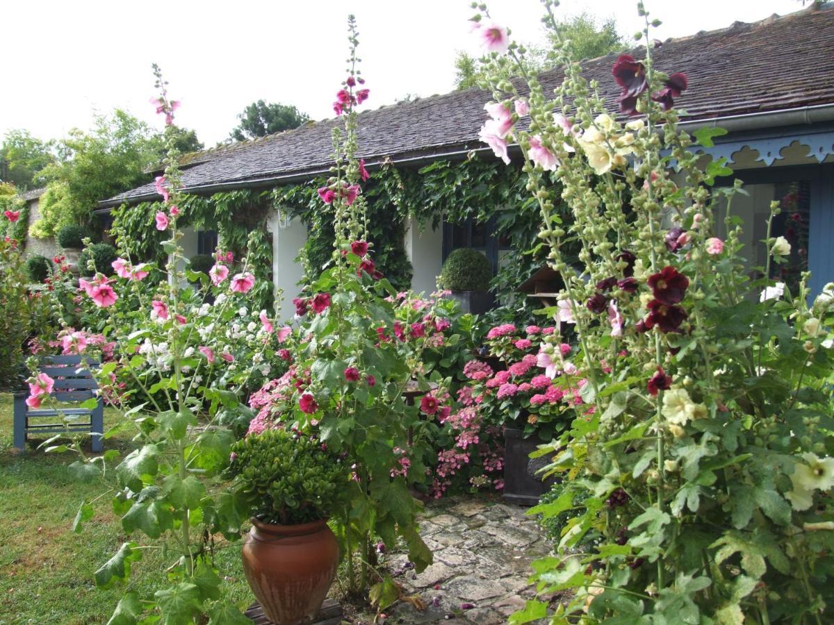Bed and Breakfast Les Glycines à Ury Extérieur photo